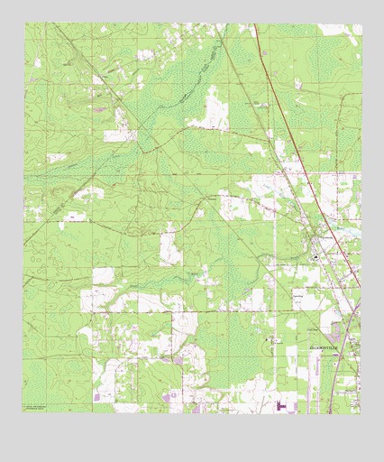 Dinsmore, FL USGS Topographic Map
