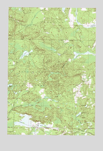 Diorite, MI USGS Topographic Map