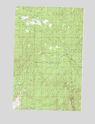 Disautel, WA USGS Topographic Map