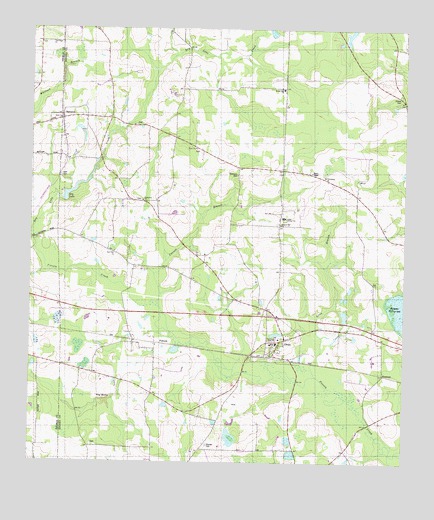 Dixie, GA USGS Topographic Map