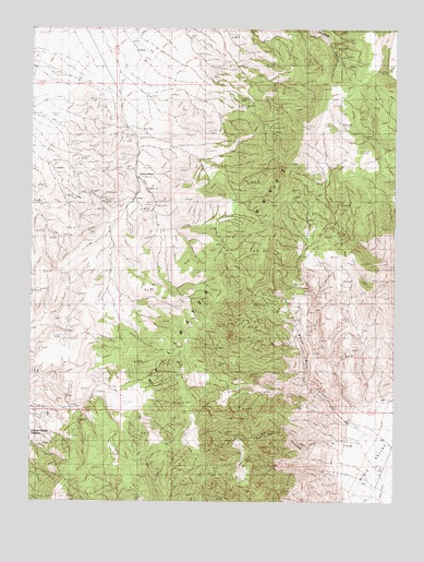 Dixie Hot Springs NE, NV USGS Topographic Map