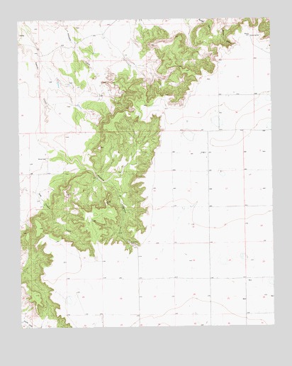 Apache Canyon, NM USGS Topographic Map