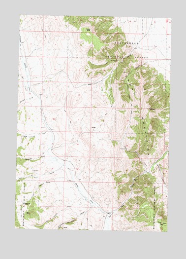 Dixon Mountain, MT USGS Topographic Map