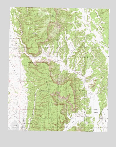Apache Mesa, NM USGS Topographic Map
