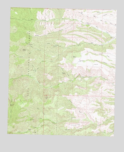 Apache Peak, NM USGS Topographic Map