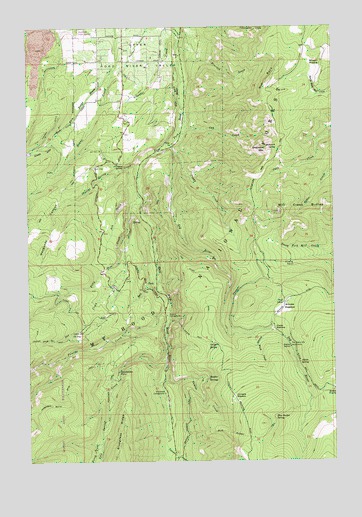 Dog River, OR USGS Topographic Map