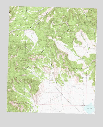 Dog Springs, NM USGS Topographic Map