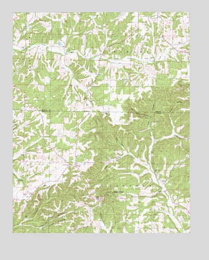 Dogwood, MO USGS Topographic Map