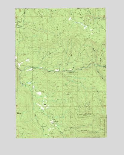 Dole, WA USGS Topographic Map