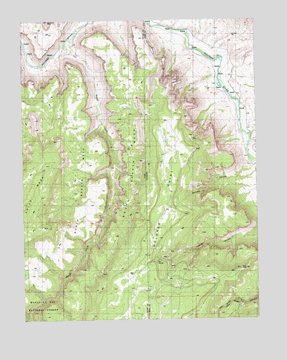 Dolores Point North, CO USGS Topographic Map