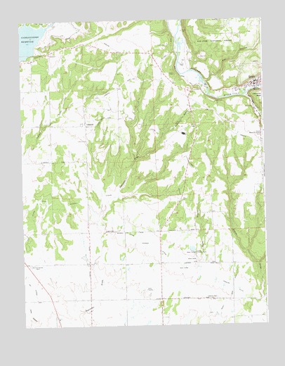 Dolores West, CO USGS Topographic Map