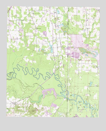 Domino, TX USGS Topographic Map
