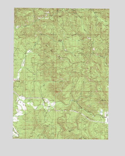 Dora, OR USGS Topographic Map