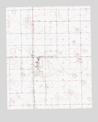 Dora, NM USGS Topographic Map