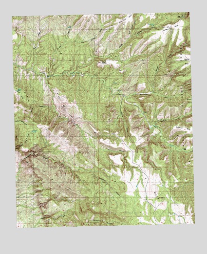 Dorsey Ranch, NM USGS Topographic Map