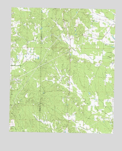 Double Springs, MS USGS Topographic Map