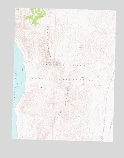 Dove Creek, NV USGS Topographic Map