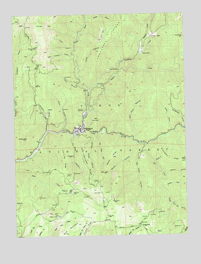 Downieville, CA USGS Topographic Map
