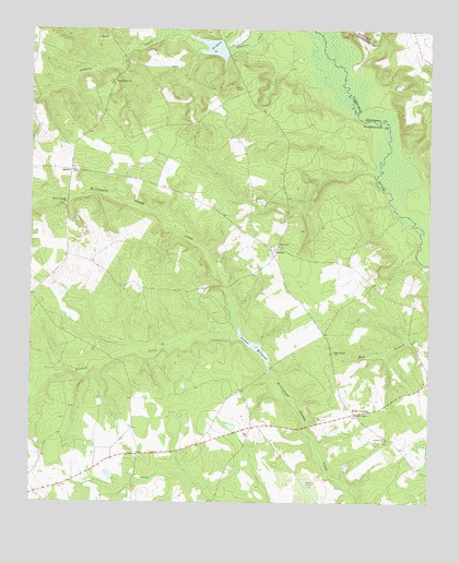 Downs, GA USGS Topographic Map