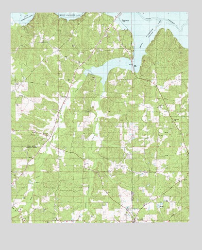 Downsville North, LA USGS Topographic Map