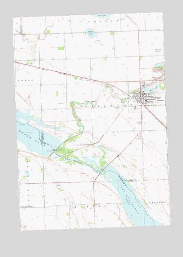 Appleton, MN USGS Topographic Map