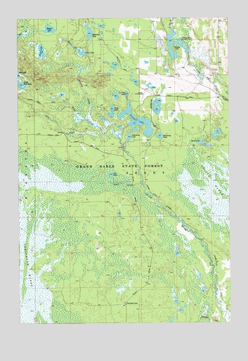 Driggs Lake, MI USGS Topographic Map