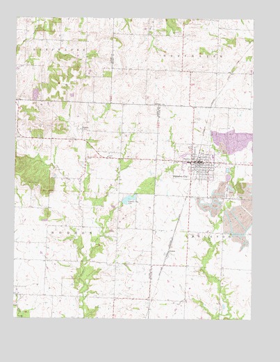 Appleton City, MO USGS Topographic Map