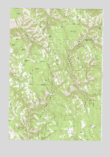 Drumhill Ridge, OR USGS Topographic Map