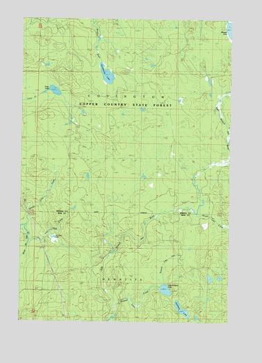 Drummond Lake, MI USGS Topographic Map