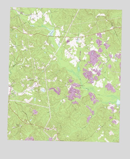 Dry Branch, GA USGS Topographic Map