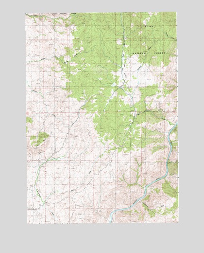 Dry Buck Valley, ID USGS Topographic Map