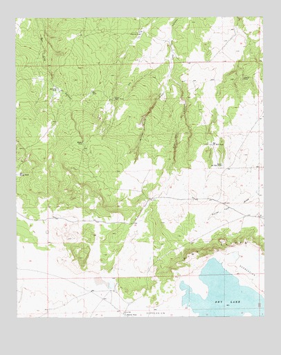 Dry Lake NW, AZ USGS Topographic Map