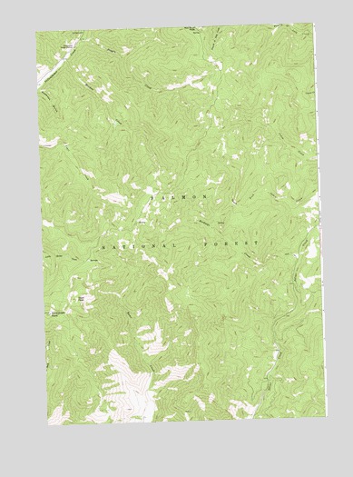 Duck Creek Point, ID USGS Topographic Map