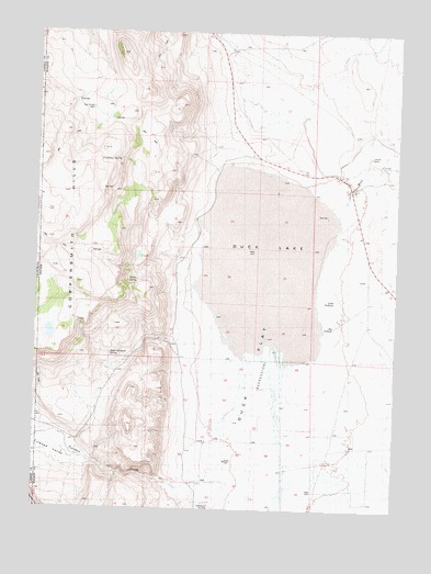 Duck Lake, NV USGS Topographic Map