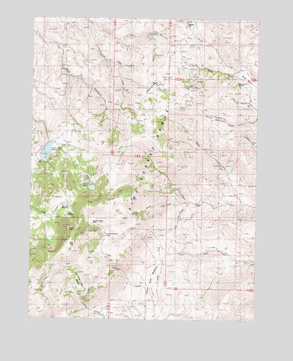 Duffer Peak, NV USGS Topographic Map