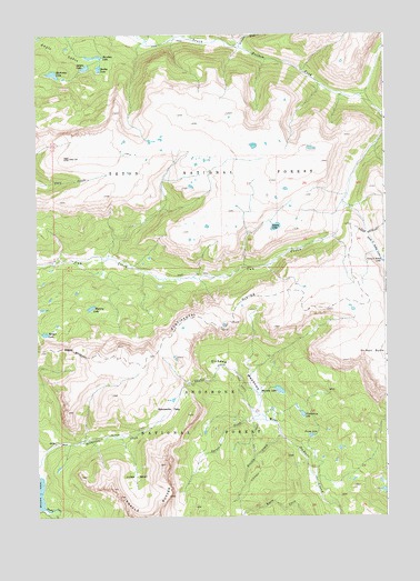 Dundee Meadows, WY USGS Topographic Map