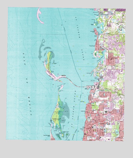 Dunedin, FL USGS Topographic Map