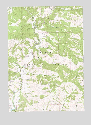 Dunnigan Creek, ID USGS Topographic Map