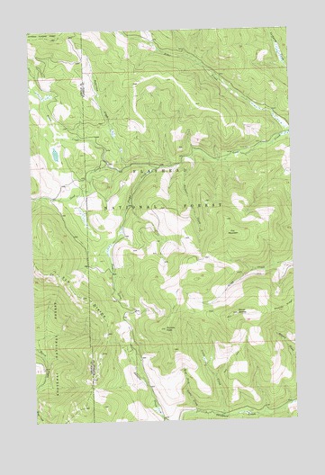 Dunsire Point, MT USGS Topographic Map