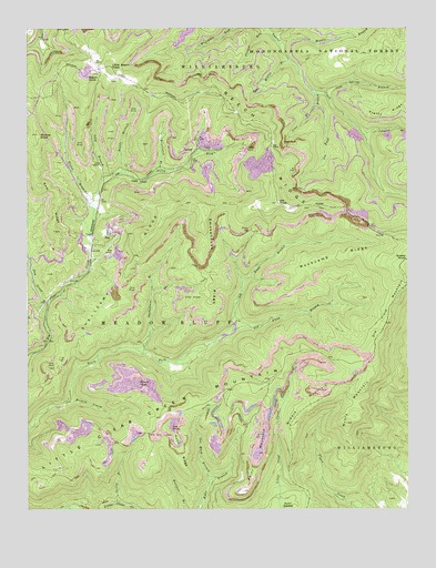 Duo, WV USGS Topographic Map