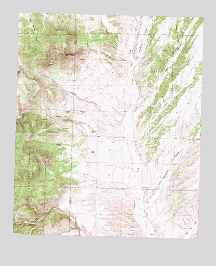 Dusty, NM USGS Topographic Map