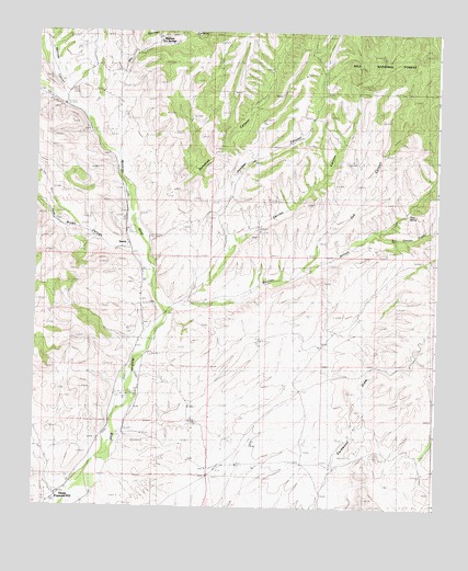 Dwyer, NM USGS Topographic Map