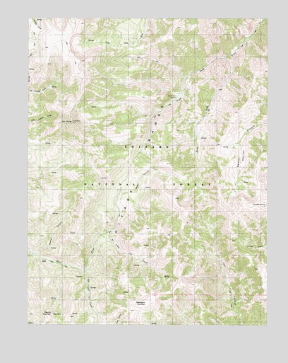 Arc Dome, NV USGS Topographic Map