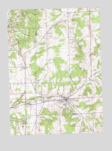 Arcade, NY USGS Topographic Map