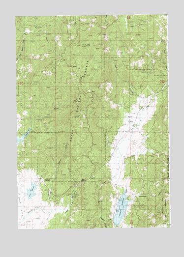 Eagle Nest, ID USGS Topographic Map
