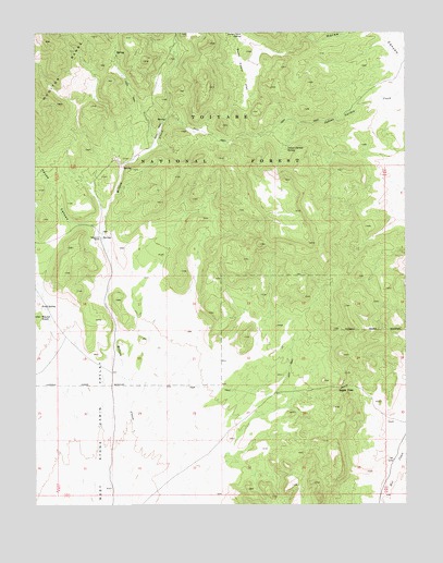 Eagle Pass, NV USGS Topographic Map