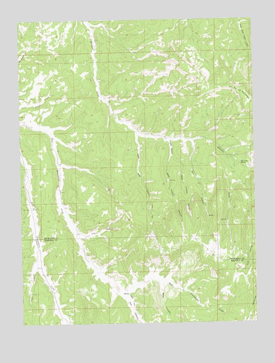 East Evacuation Creek, CO USGS Topographic Map
