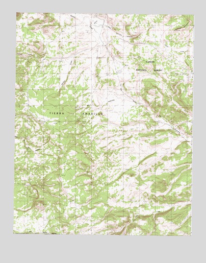 East Gavilan Canyon, NM USGS Topographic Map