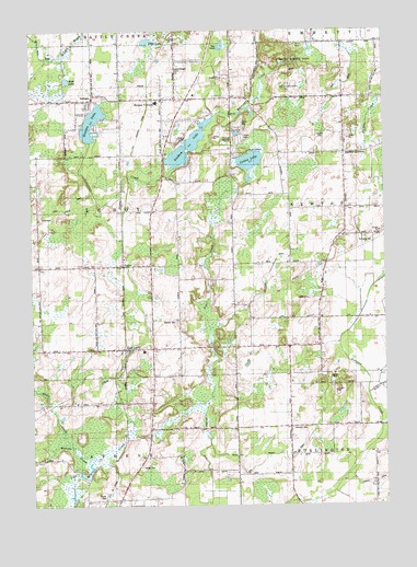 East Leroy, MI USGS Topographic Map
