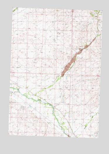 East of Salmon, ID USGS Topographic Map